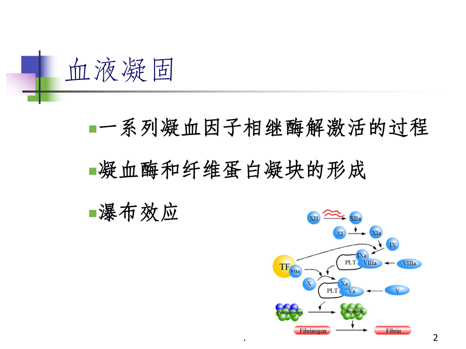 弥散性血管内凝血(DIC)课件.pptx_第2页