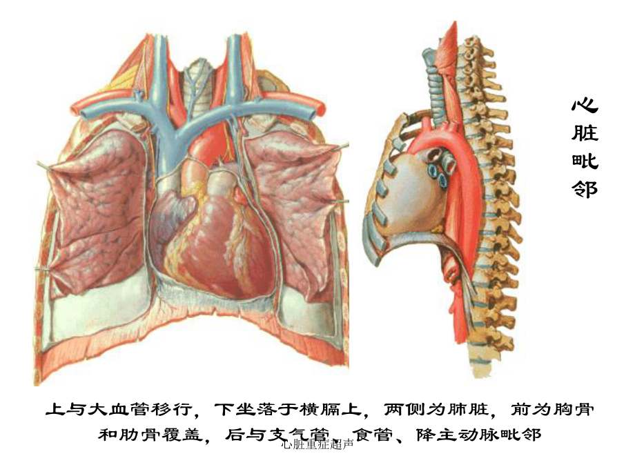 心脏重症超声-课件.ppt_第2页