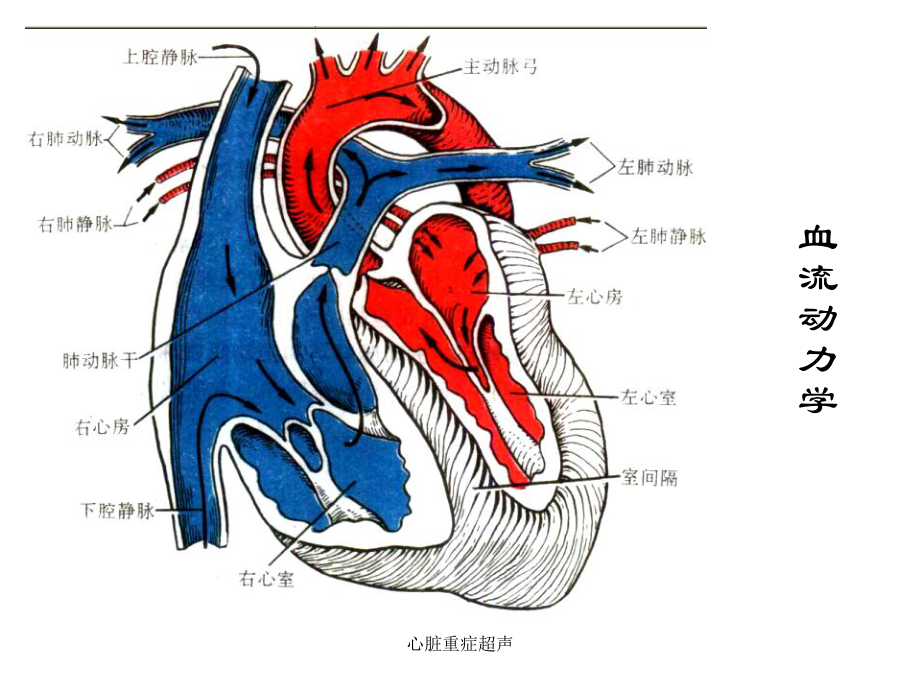 心脏重症超声-课件.ppt_第3页