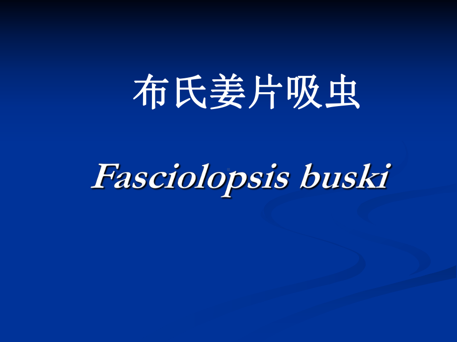 布氏姜片吸虫、猪、牛带绦虫课件.ppt_第1页