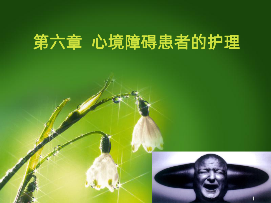 心境障碍患者的护理课件(同名1074).ppt_第1页