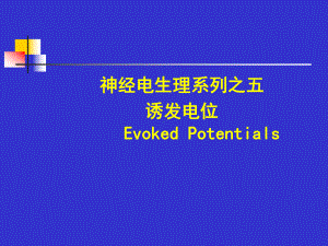 异常体感诱发电位的病理生理基础课件.ppt