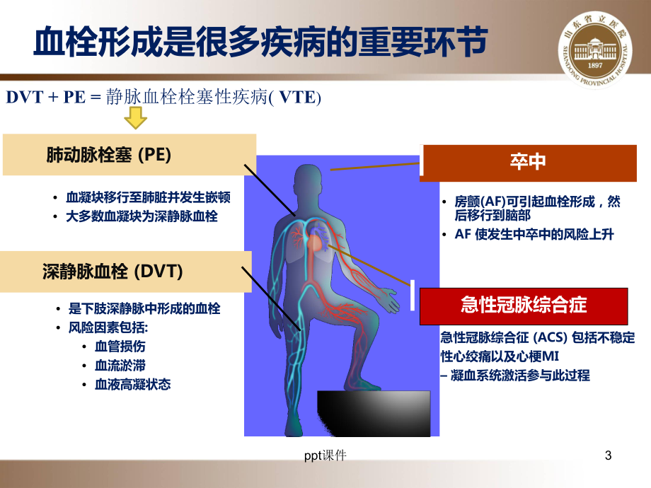 抗凝药物合理应用（临床药学科）-课件.ppt_第3页