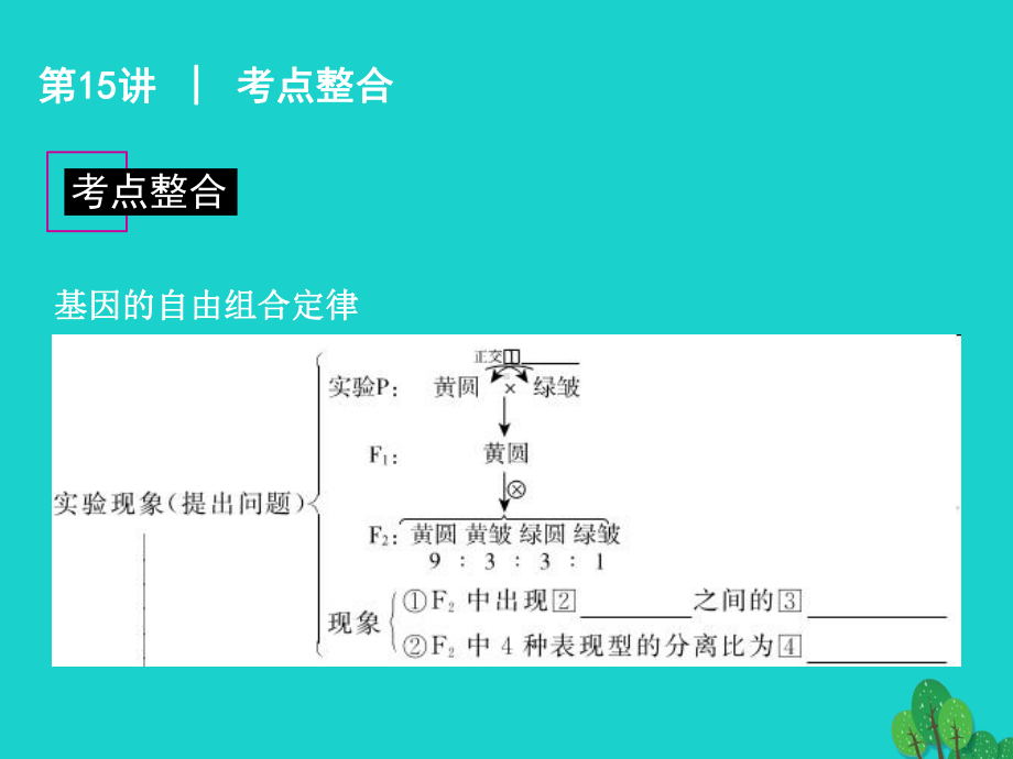 广东省高考生物一轮复习-第15讲-孟德尔的豌豆杂课件.ppt_第2页