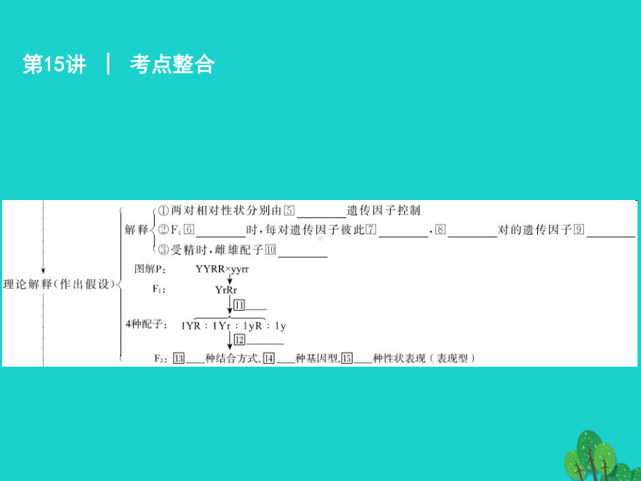 广东省高考生物一轮复习-第15讲-孟德尔的豌豆杂课件.ppt_第3页