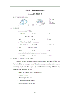 Unit 5 I like those shoesLesson 25 素质评价.doc