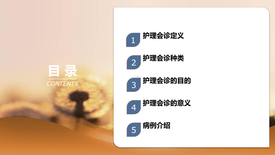 护理会诊-课件.pptx_第2页