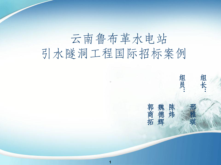 布鲁革招投标案例分析课件.ppt_第1页