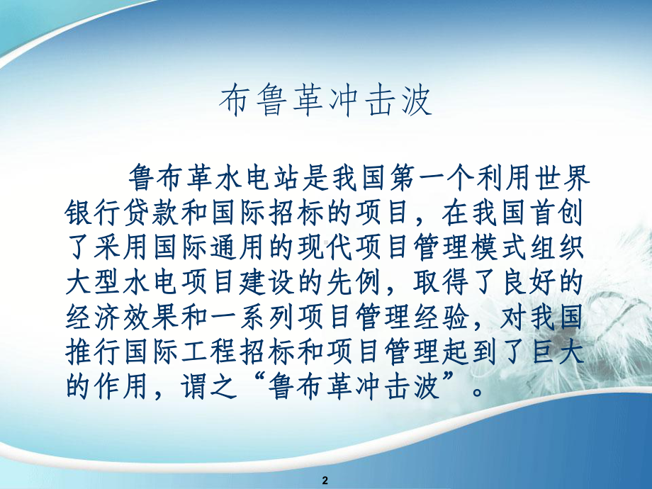 布鲁革招投标案例分析课件.ppt_第2页