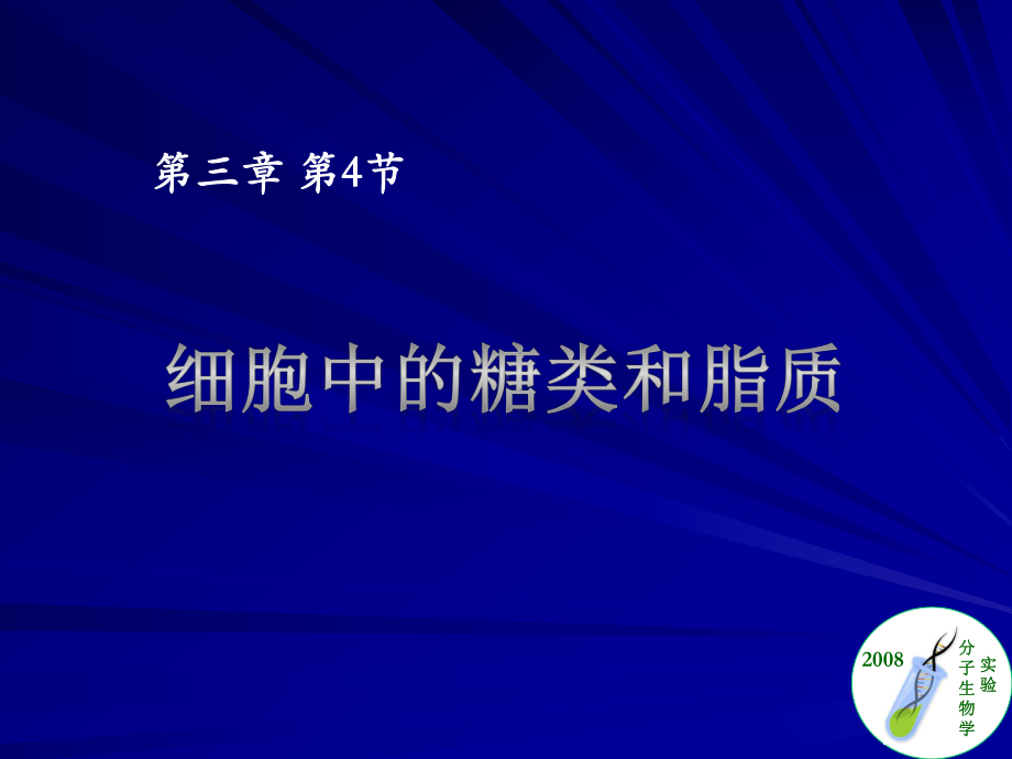 必修1-24-细胞中的糖类和脂质课件.ppt_第2页