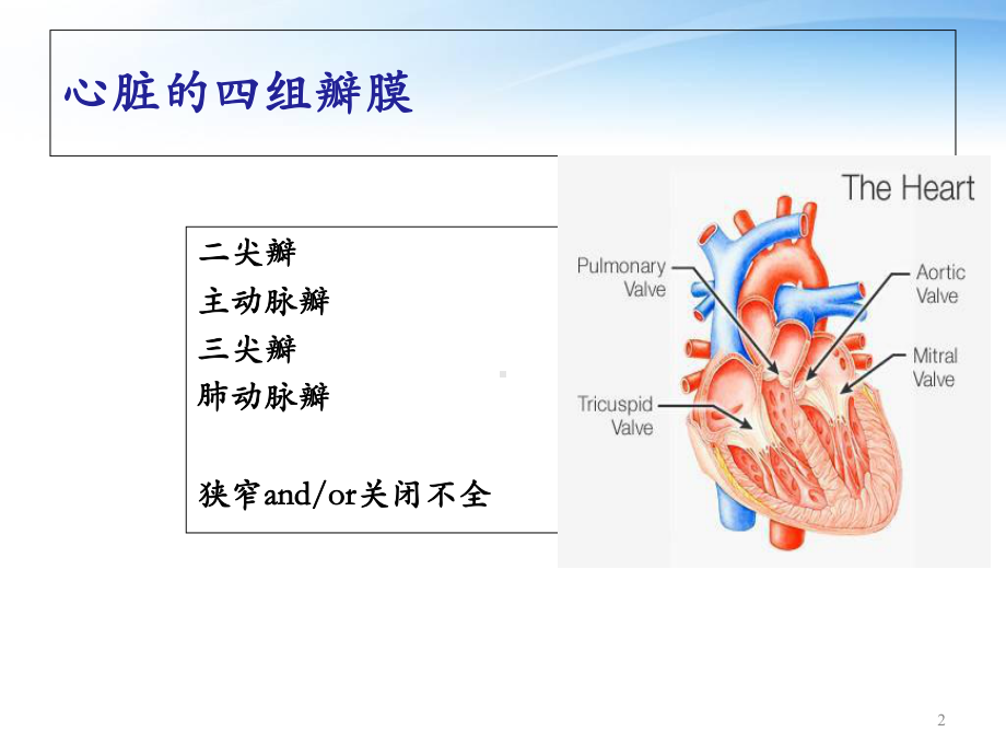 心脏瓣膜病的麻醉-课件.ppt_第2页