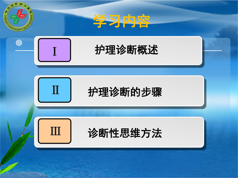 护理诊断及思维新课件.ppt_第2页