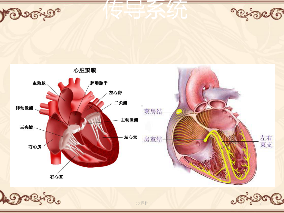 心电图原理-课件.ppt_第2页