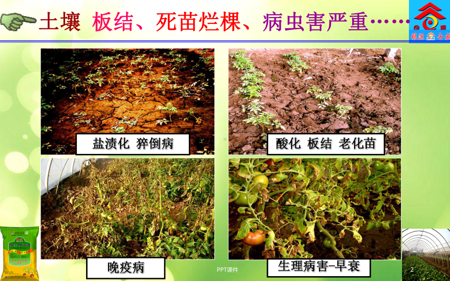 微生物菌剂的功能与使用-课件.ppt_第2页