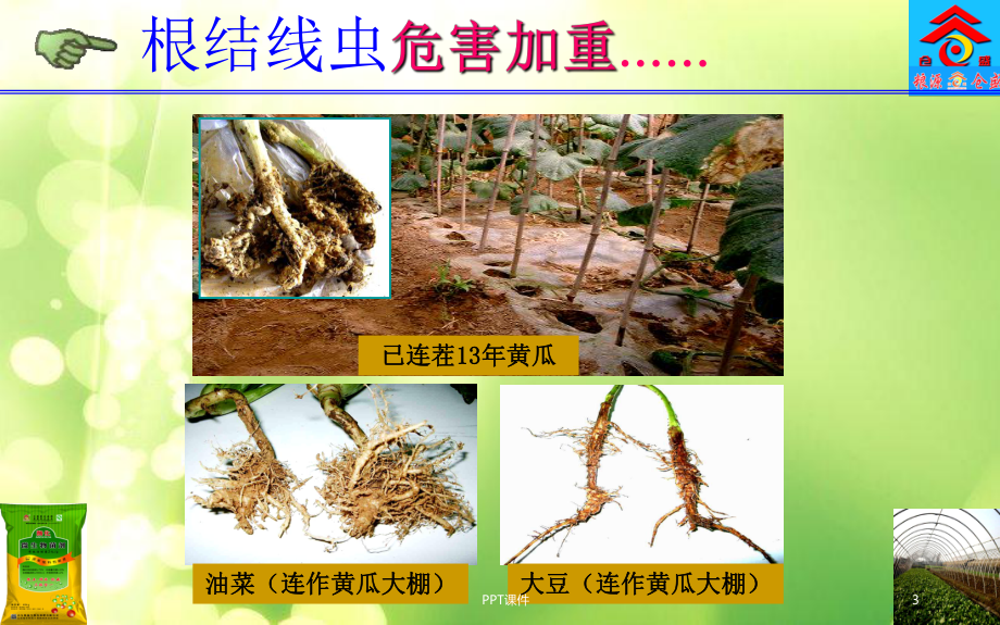 微生物菌剂的功能与使用-课件.ppt_第3页