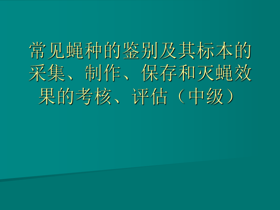 常见蝇类的鉴别课件.ppt_第1页