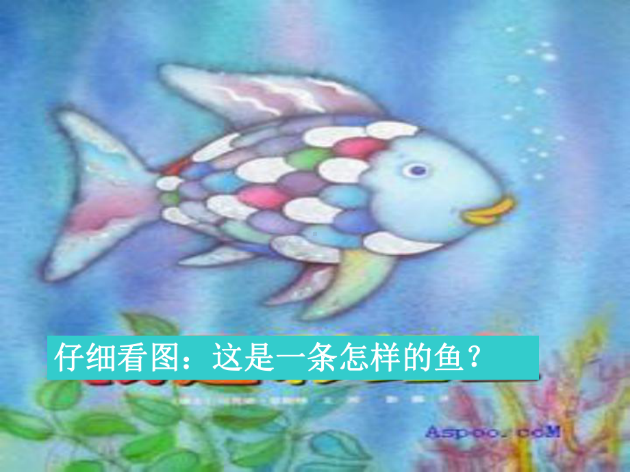 我是彩虹鱼课件.ppt_第2页