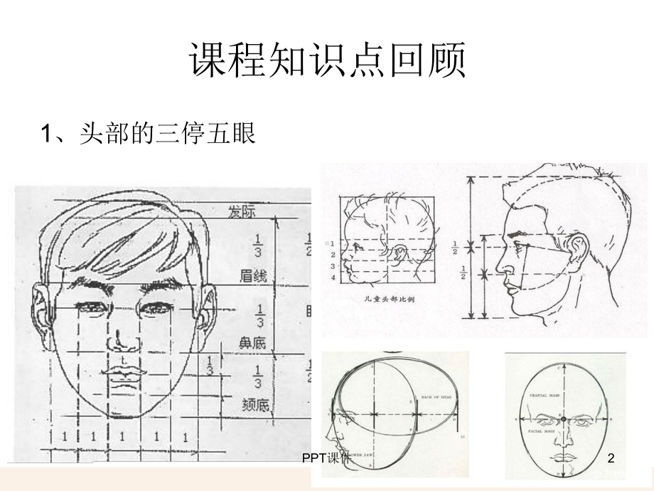 手的专业画法-课件.ppt_第2页