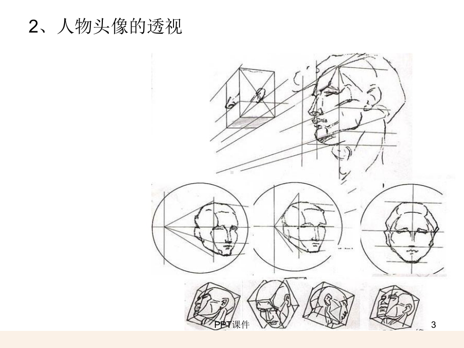 手的专业画法-课件.ppt_第3页