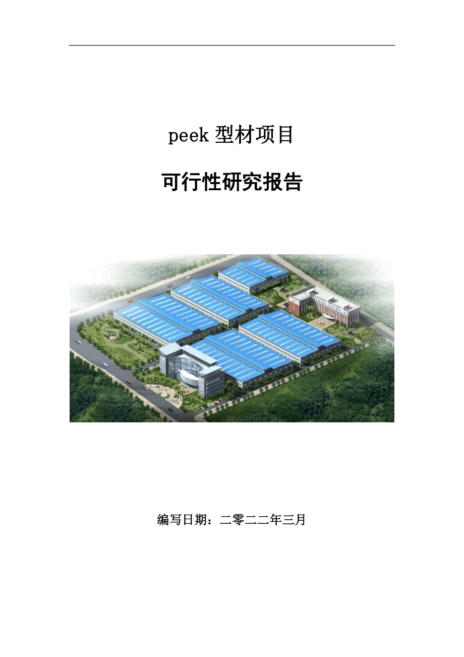 peek型材项目可行性研究报告范文.doc_第1页