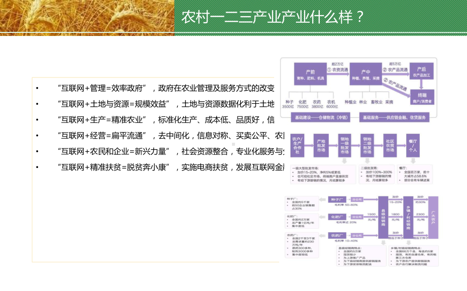 农村一二三产业产业融合发展项目建设方案.pptx_第3页