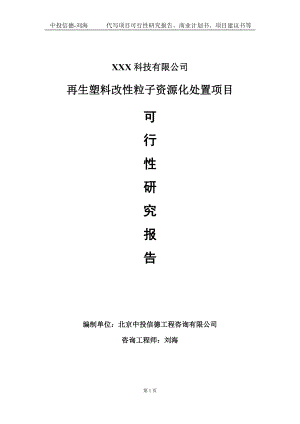 再生塑料改性粒子资源化处置项目可行性研究报告写作模板定制代写.doc