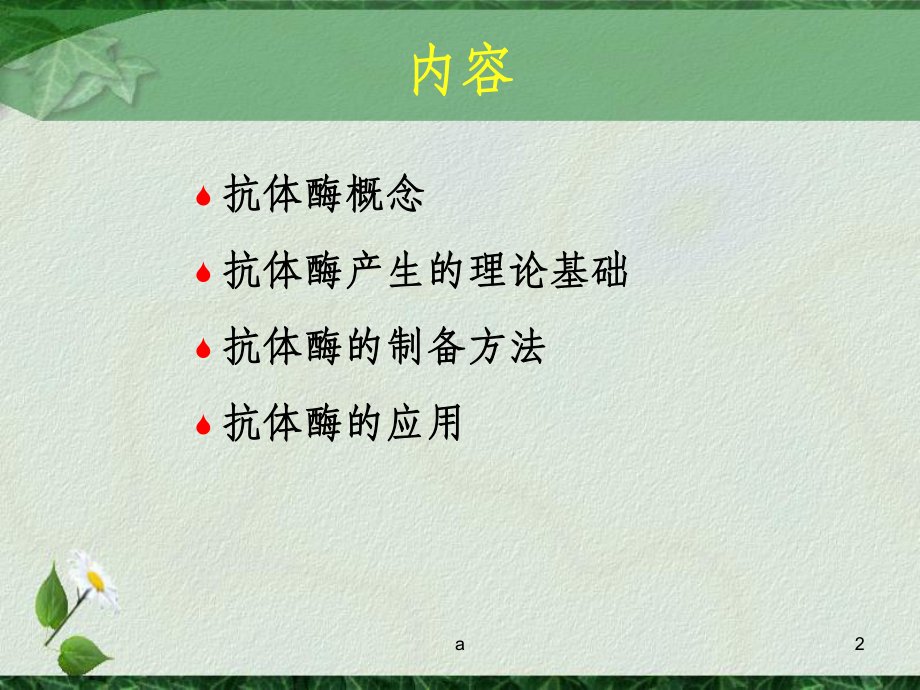 抗体酶教学讲解课件.ppt_第2页