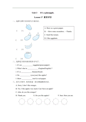 Unit 3 It’s a pineappleLesson 17 素质评价.doc