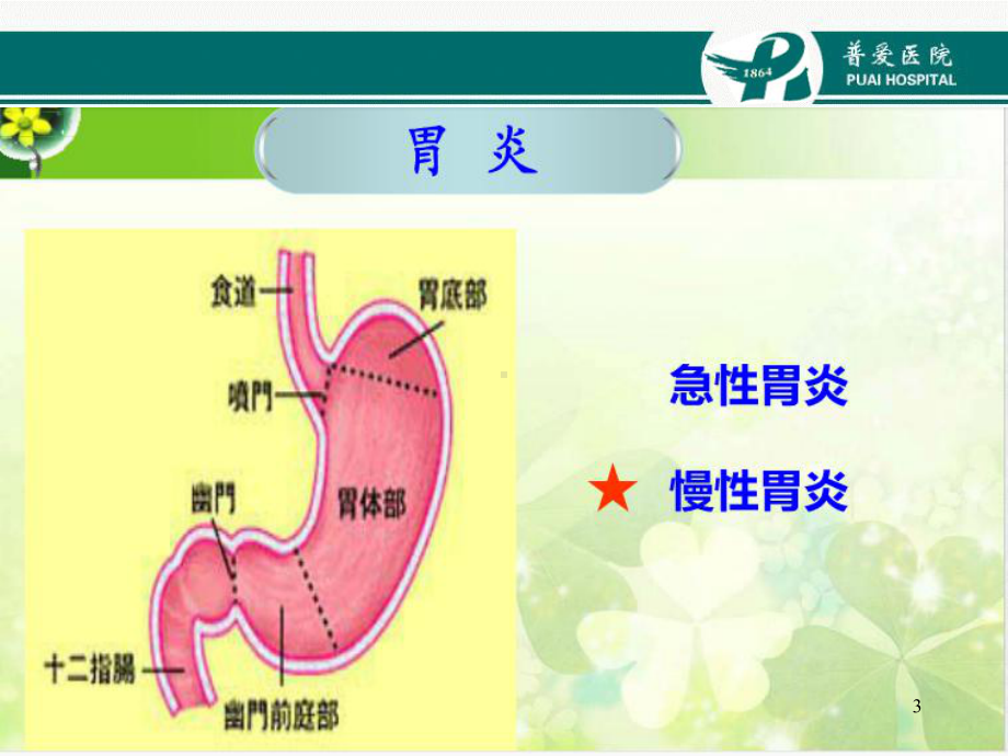 慢性胃炎的护理课件.ppt_第3页