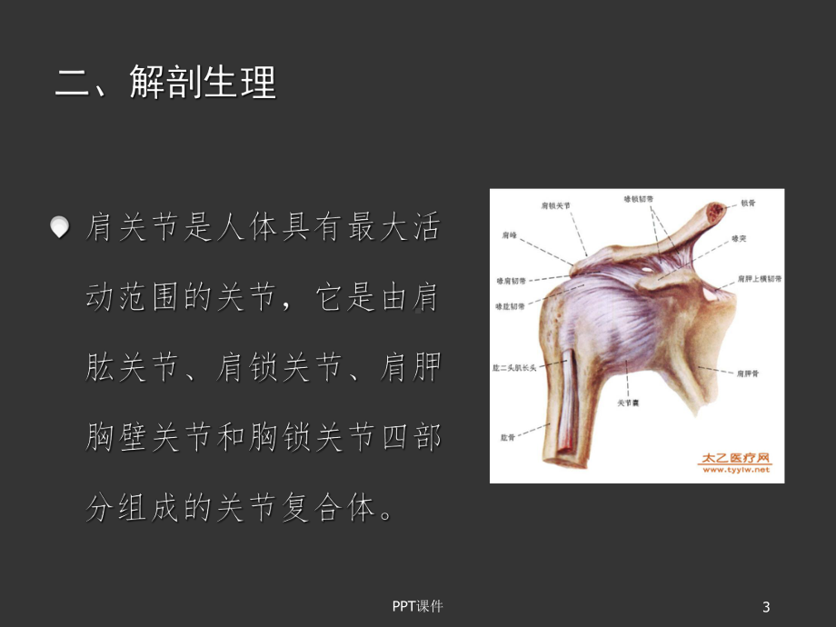 推拿学-肩周炎-课件.ppt_第3页