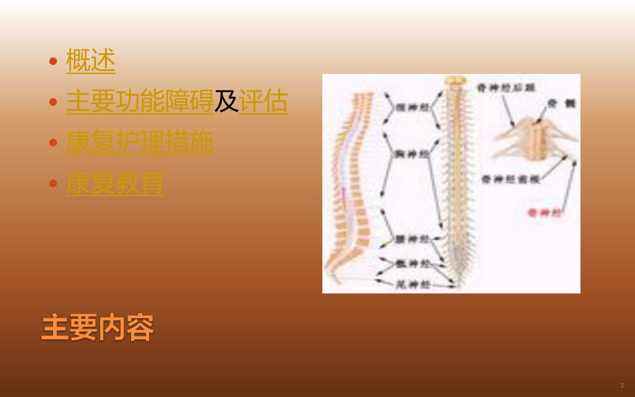 常见脊髓疾病的护理课件.ppt_第2页