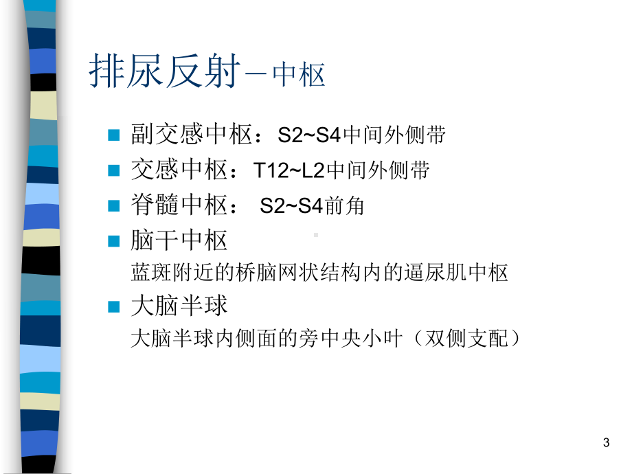 排尿反射尿便中枢课件.ppt_第3页