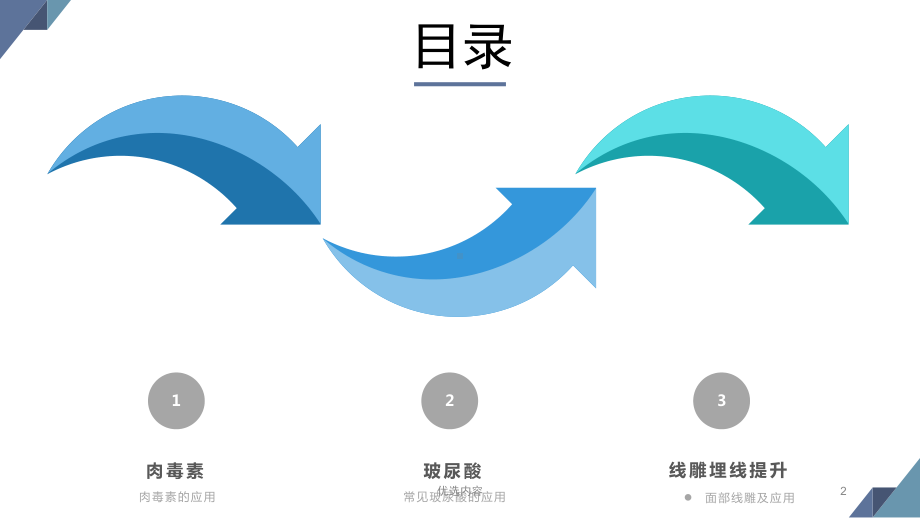 微整形全面注解：肉毒素、玻尿酸、面部线雕(特选材课件.ppt_第2页