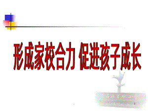 形成家校合力-促进孩子成长课件.ppt