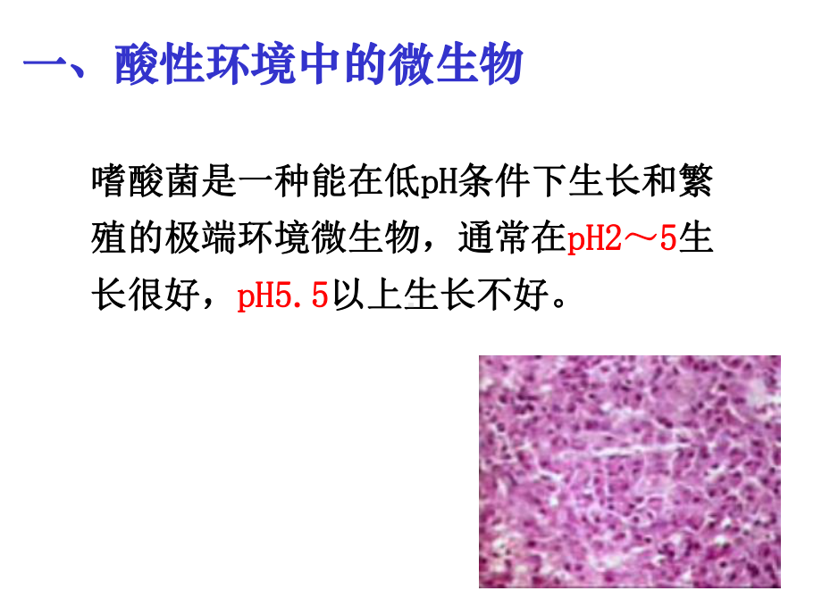 微生物生态学-33在强酸环境中的微生物1课件.ppt_第2页