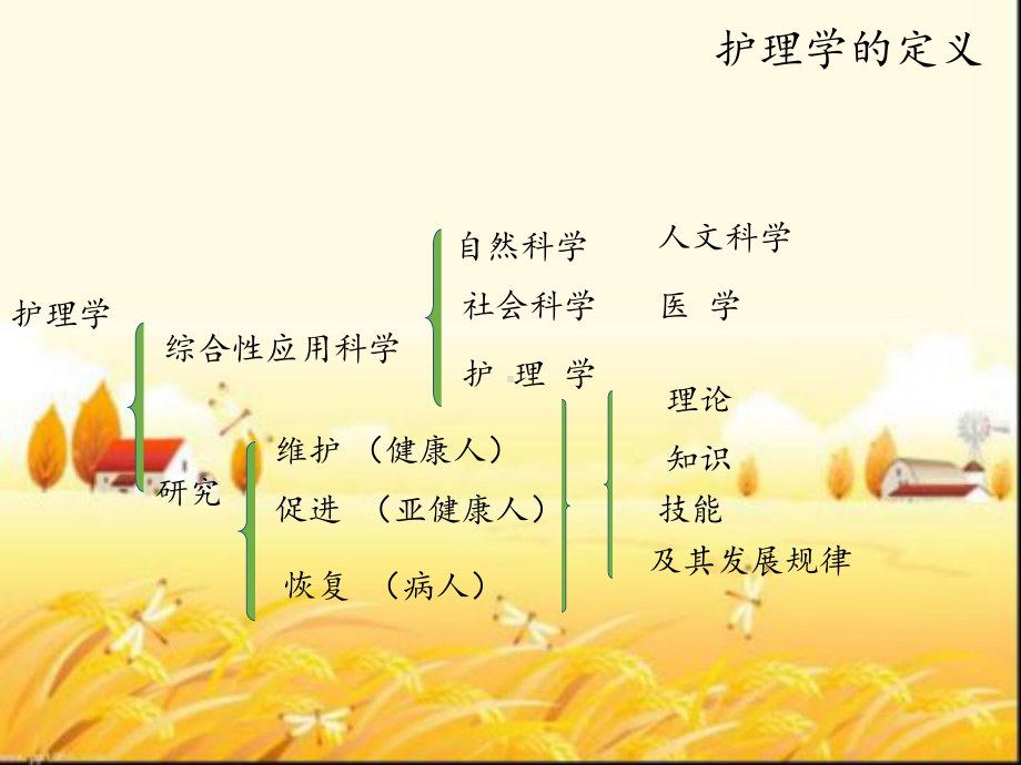 护理学基础绪论-课件.ppt_第3页