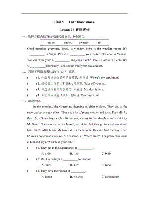 Unit 5 I like those shoesLesson 27 素质评价.doc