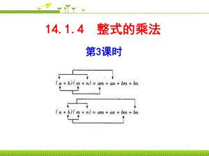 最新部编人教版八年级数学上册整式的乘法3课件.ppt