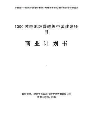 1000吨电池级碳酸锂中试建设项目商业计划书写作模板-融资招商.doc