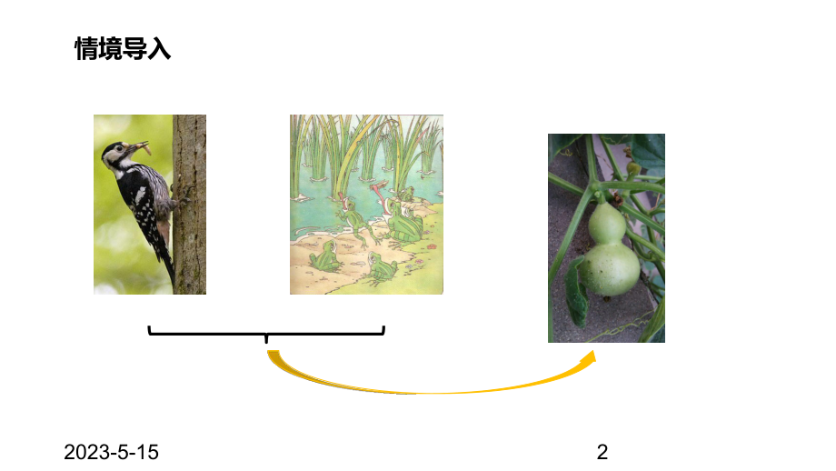 最新部编版二年级上册语文课件：14我要的是葫芦.pptx_第2页