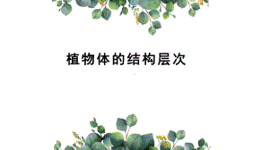 植物体的结构层次-公开课课件.ppt