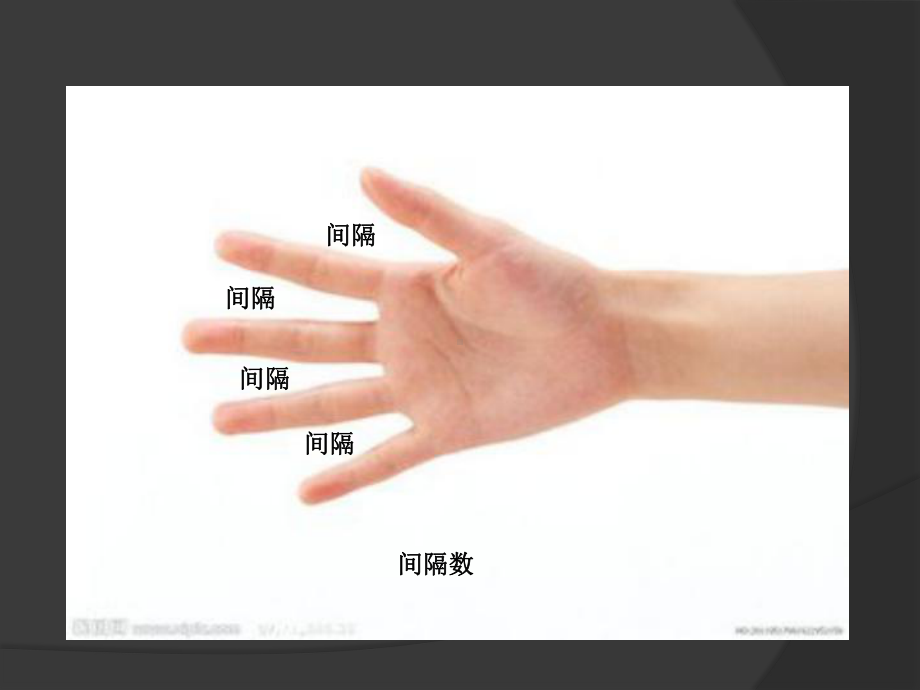 植树问题两端都种课件.ppt_第2页