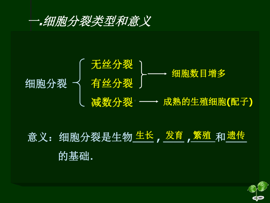 必修1-细胞增殖复习课件(2020届).ppt_第2页