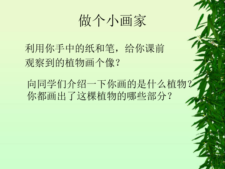 植物的身体思考课件.ppt_第1页