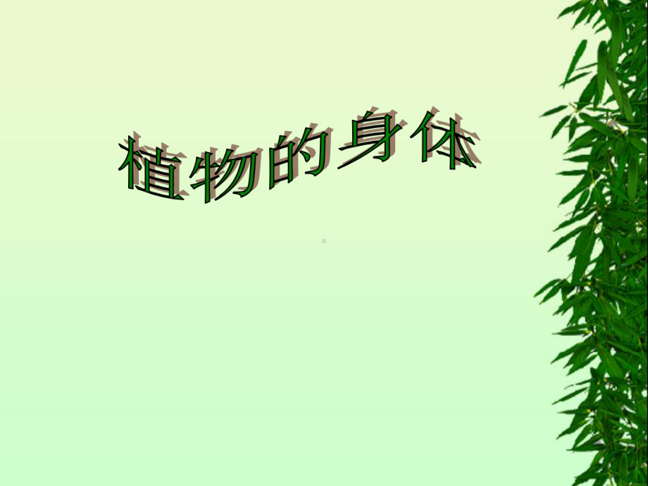 植物的身体思考课件.ppt_第2页