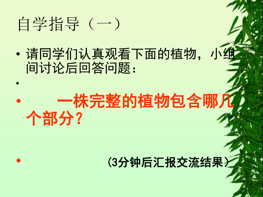 植物的身体思考课件.ppt_第3页