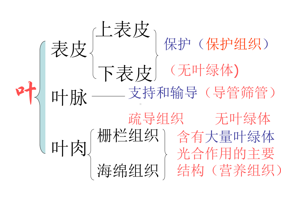 济南版生物七年级上册绿色植物的光合作用课件.ppt_第3页