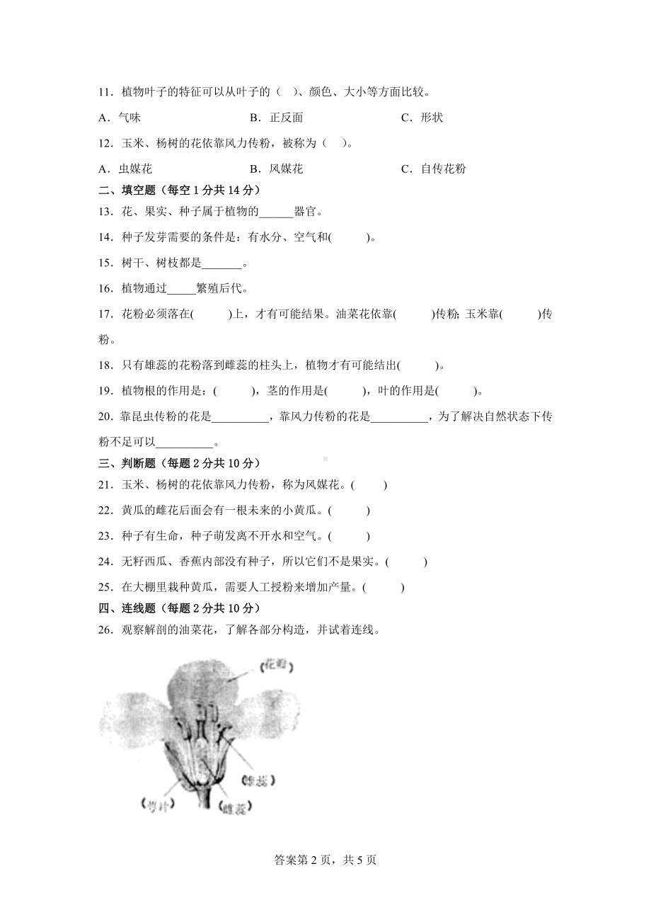 2023新苏教版三年级下册《科学》第一单元素养检测卷（一）（含答案）.docx_第2页