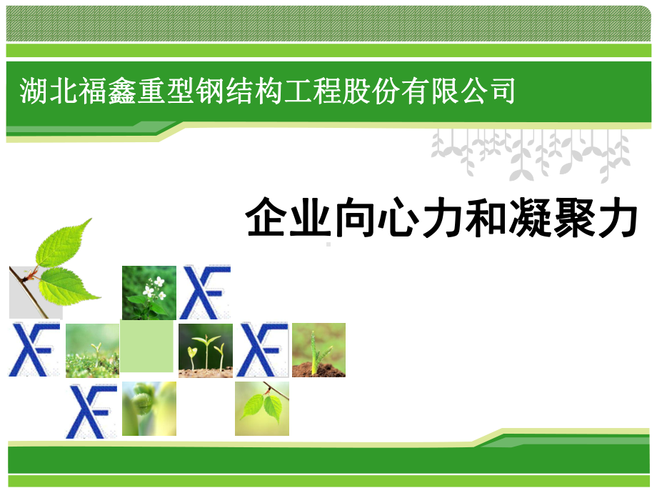 增强企业员工向心力和凝聚力XXXX0415课件.pptx_第1页