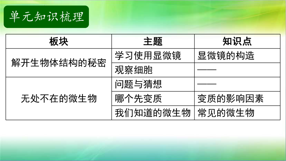 湘科版小学科学五年级下册科学课件第3单元显微镜下的世界复习课件.pptx_第2页